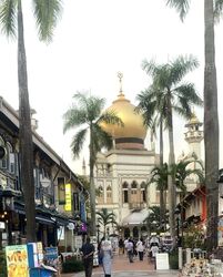 Jalan Sultan (D7), Shop House #508614221